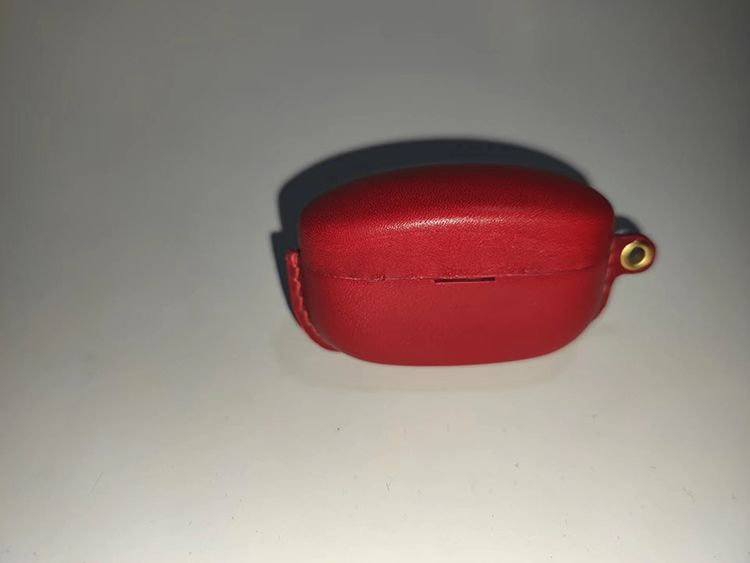 headphone case, earphone case, mould, mold